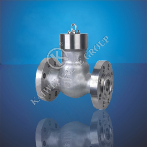 Since Sealing Flange Check Valve