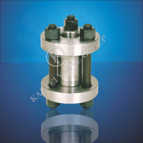 Vertical LiftWafer Check Valve