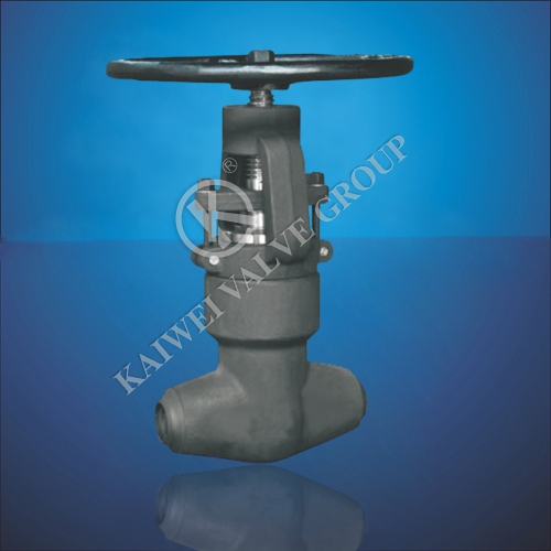 Butt Welded Globe Valve