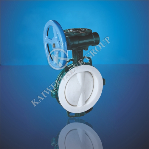 Lining fluorine clip-on Butterfly valve