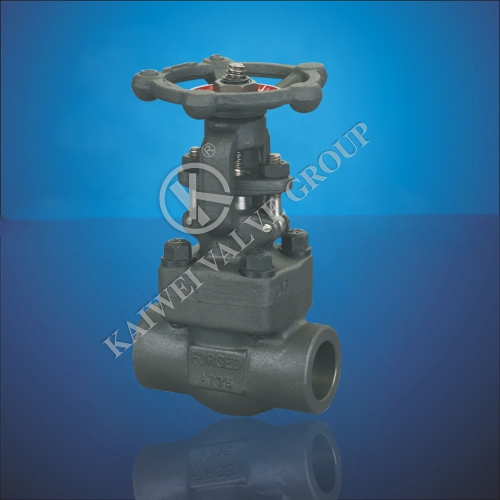 Socket Welding Gate Valve