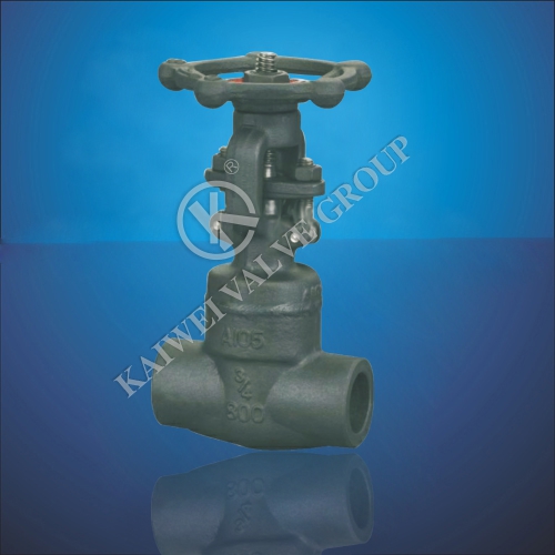 Socket Welding Gate Valve