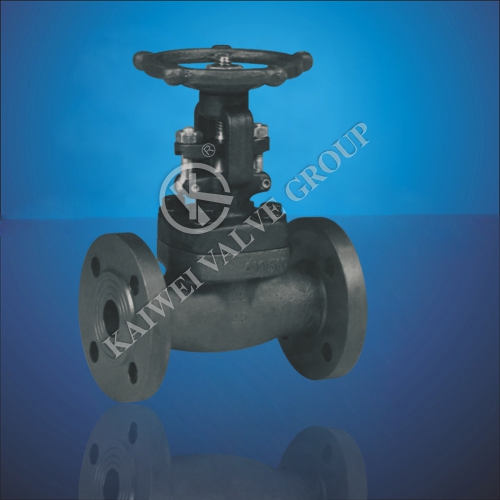 API Forged Steel Flanges Gate Valve