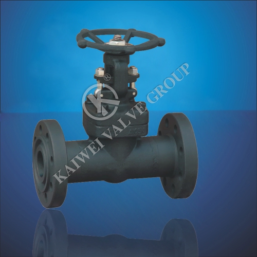 GBAPI Forged Steel Flanges Gate Valve