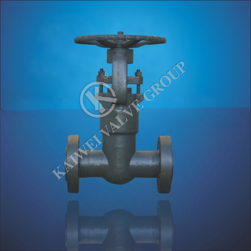 GBAPI Forged Steel Flanges Gate Valve