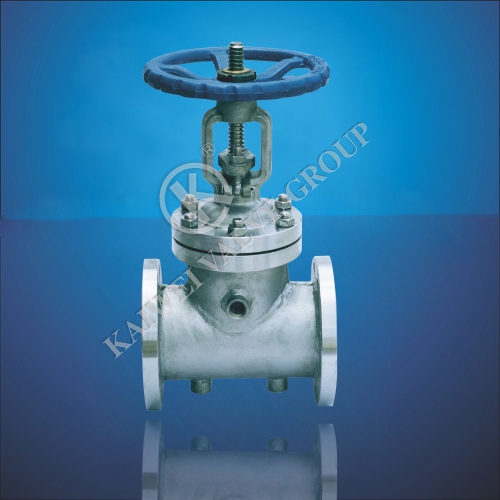 Preservation Jacket Gate Valve