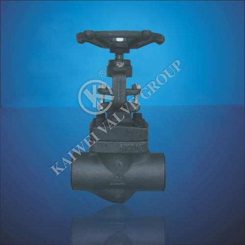 Socket Welding Globe Valve