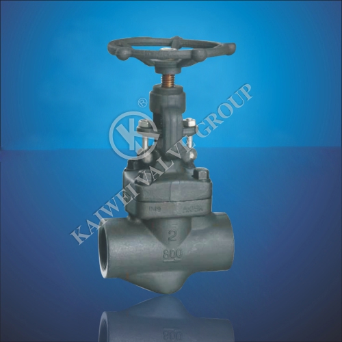 Socket Welding Globe Valve