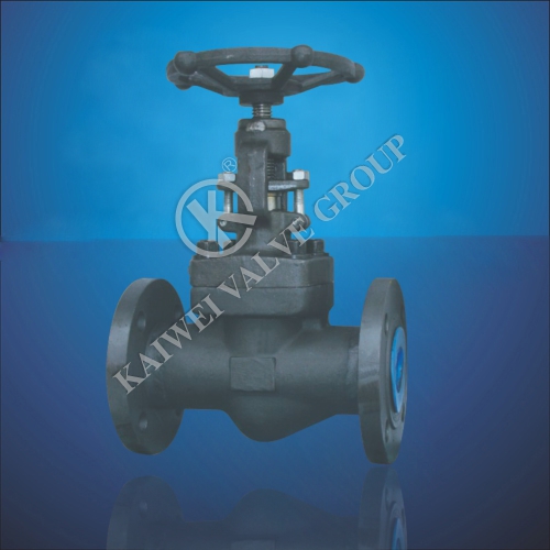 Socket Welding Globe Valve