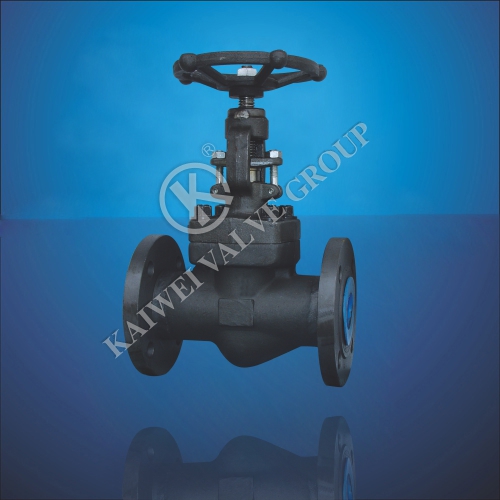 Socket Welding Globe Valve