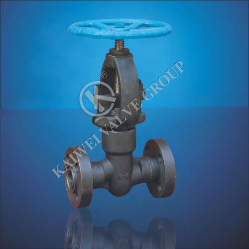 Socket Welding Globe Valve